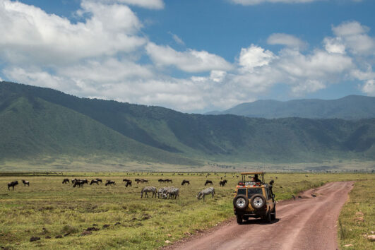 2 Days Tanzania Short Safari